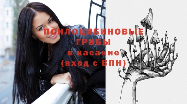 стаф Алексин